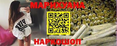 сатива Можга