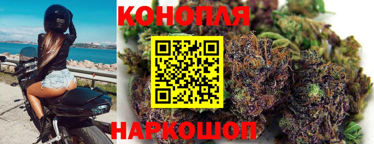 Конопля SATIVA & INDICA  Каннабис THC 21%  Усть-Илимск  МАРИХУАНА семена  Вход с VPN 